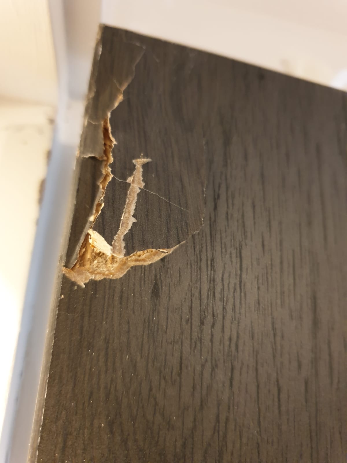 Wood grain door damage
