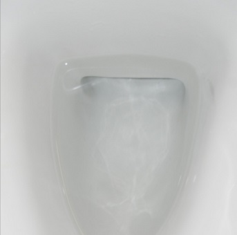 Hotel toilet Cleaned resized Budget hotel toilet cleaned